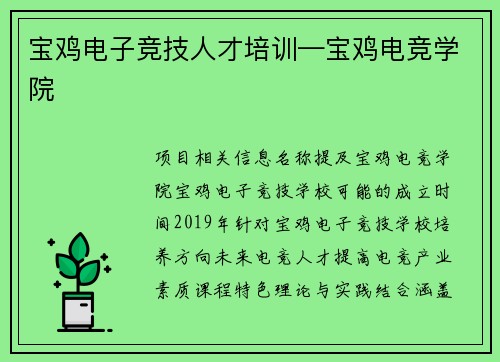 宝鸡电子竞技人才培训—宝鸡电竞学院