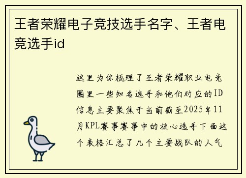 王者荣耀电子竞技选手名字、王者电竞选手id